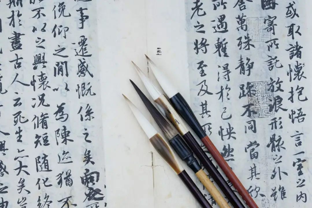 Congratulation ▏荣誉是成绩也是号角，全体师生共创未来(图19)
